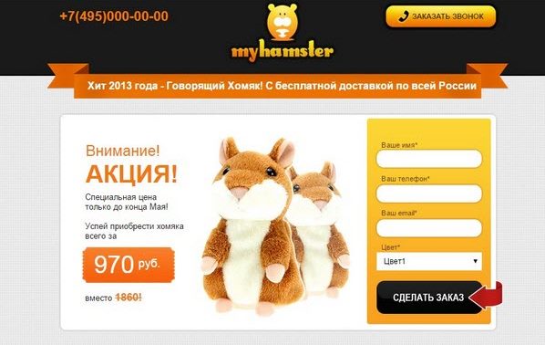 My hamster