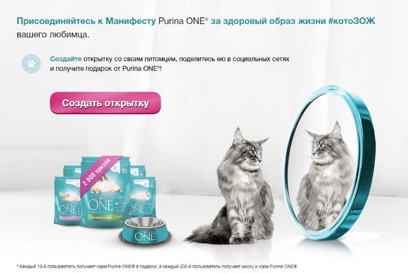 Пример творческого конкурса от «Purina One» Пример творческого конкурса от «Purina One»