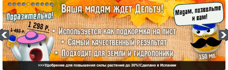 владелец сайта явно переборщил с креативом