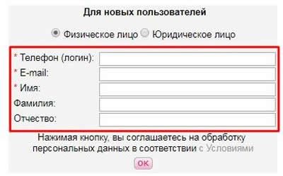 Расположение подписей и полей в два столбца Расположение подписей и полей в два столбца