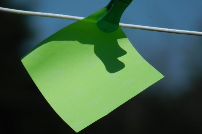 Форма захвата на landing page Форма захвата на landing page