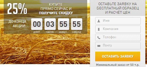 Пример использования таймера на лендинге