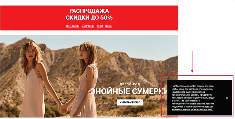 дисклеймер интернет-магазина H&M дисклеймер интернет-магазина H&M