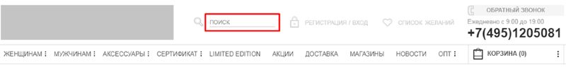 Маленькое поле ввода Маленькое поле ввода