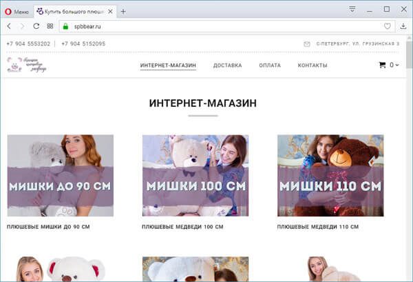 Интернет-магазин на конструкторе NetHouse