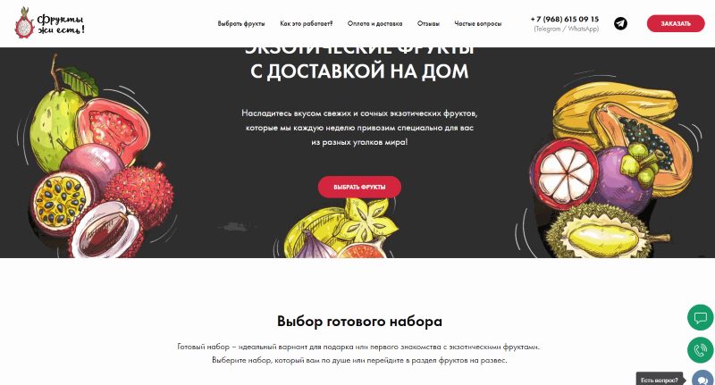 пример интернет-магазина, сделанного на Tilda пример интернет-магазина, сделанного на Tilda