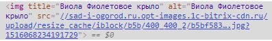 Заполненный атрибут Title для картинок