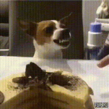 клиент недоволен