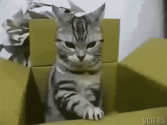 клиент не удовлетворен услугой