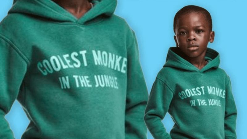 Coolest monkey in the jungle Coolest monkey in the jungle