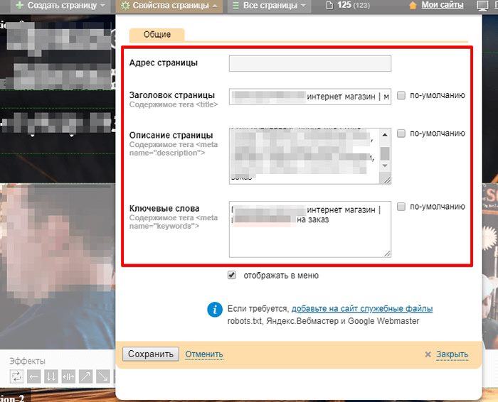 Установка мета-тегов в Setup Установка мета-тегов в Setup